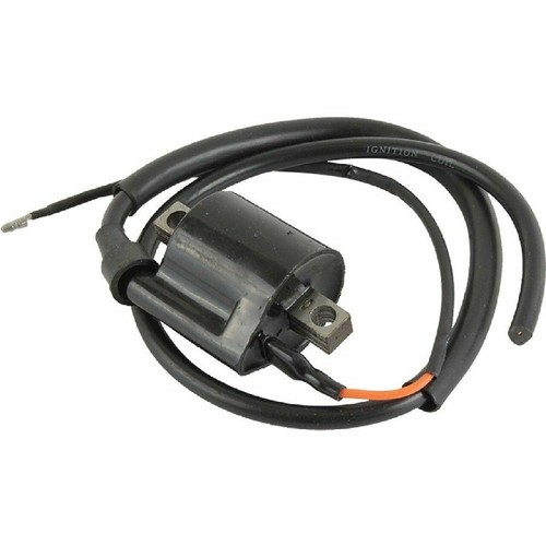 160 01019 bobine allumage - 160-01019,