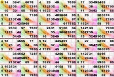 Plaque de 18 cartons de loto