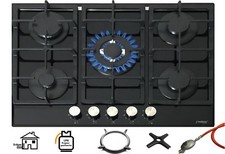 Phönix PG-901T Plaque De