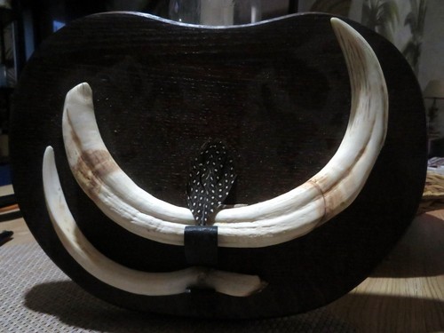 Dent phacochere ivoire - dent,