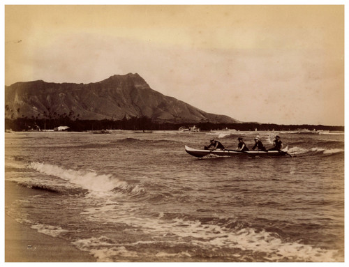 William sesser hawaii - sesser,,