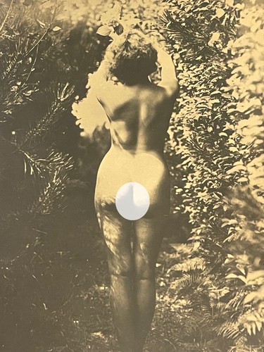 Curiosa photo vintage - , nu