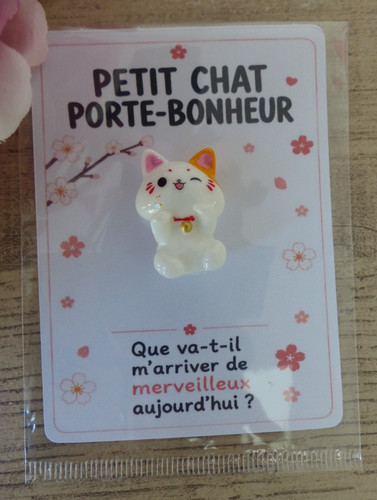 Mini chat porte‑bonheur