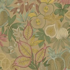 Exotique Fruit Papier Peint
