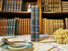 Le chevalier de maison rouge