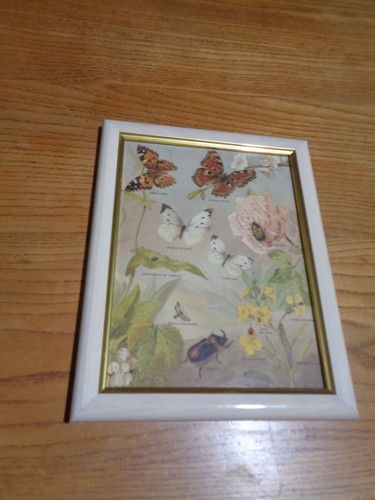 Chromolithographie couleur