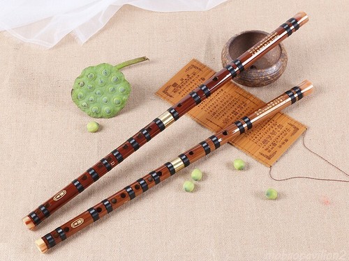 New musical instruments d e - musical, c