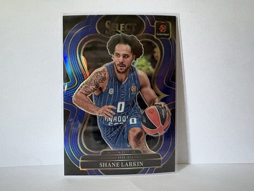 Shane larkin mezzanine - larkin, level