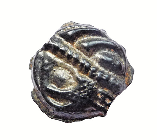 Leuques potin tête - à,