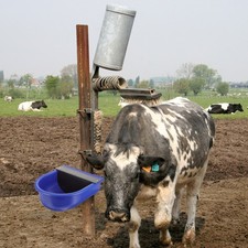  Water Bowl Abreuvoir À Bovins Vache Bol D'eau Automatique Pour Vaches