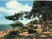 17  RONCE LES BAINS LA PLAGE DE LA CEPE