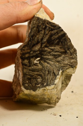 Barytine recourvert - , de