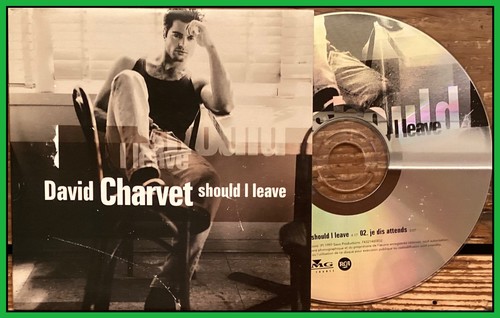 Single david charvet - single,