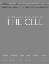 Biologie Moléculaire De La