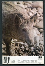 Btj magazine bibliothèque - magazine, de