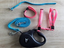 Laisse télescopique - harnais