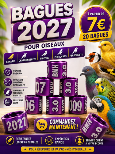 Bagues oiseaux aluminium - oiseaux,