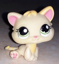Petshop chat chaton 1649
