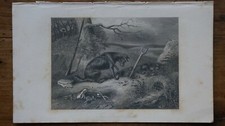 GRAVURE ORIGINALE XIXE-HACKER D'APRES CORBET-THE FERRET LAID- CHASSE- HUNT