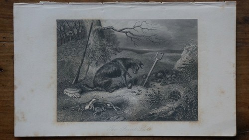 Gravure originale xixe hacker - originale, xixe-hacker