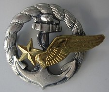 Brevet eleve pilote - eleve,