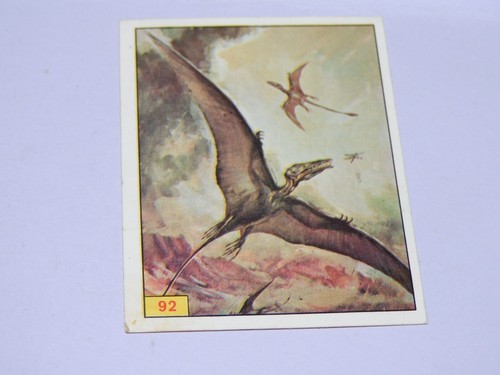 Image panini animaux - panini,
