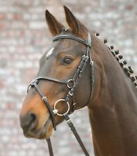 Bridle Anglais Avec Muserolle