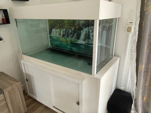 Aquarium 500 avec - l,