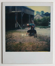 Chiens homme garage bois campagne nature - Polaroid couleur style Tarkovski