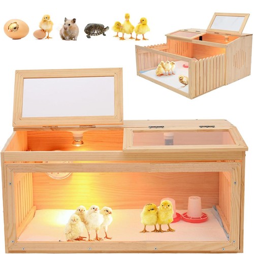 Cage poussins à - cage,