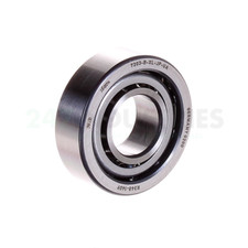 FAG/Schaeffler Technologies