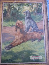 ANCIENNE GRANDE CHROMOS MANUFRANCE CHIENS LEVRIER AFGHAN    