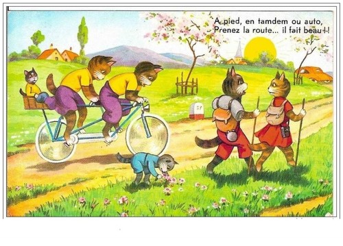 Chats pied tandem ou - en,