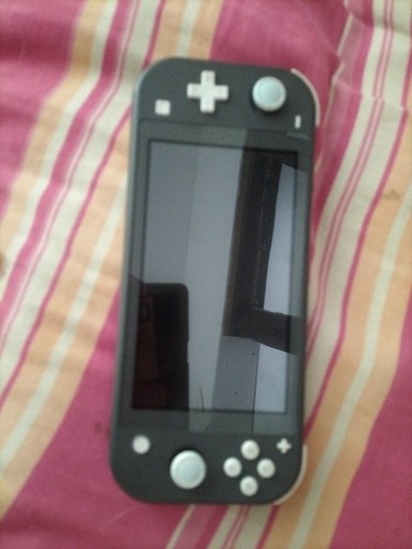 Nintendo switch lite gris - -,