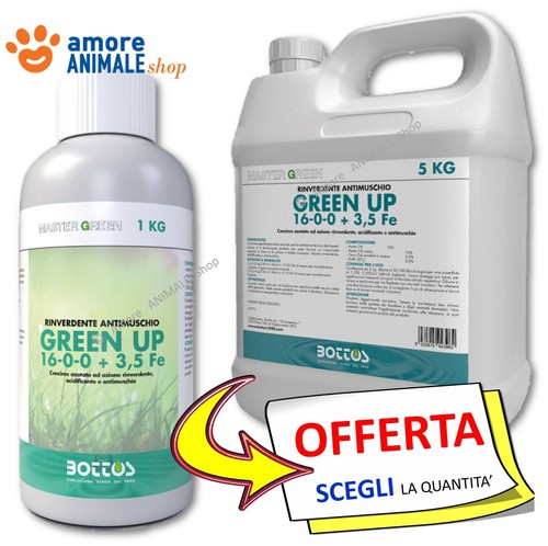 Bottos green 1 - green,
