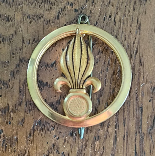 Insigne doré béret - insigne,