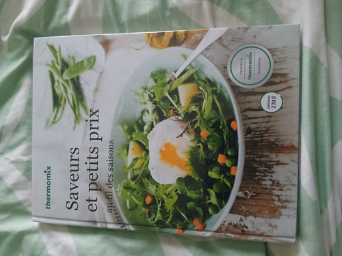Vorwerk thermomix saveurs - «,