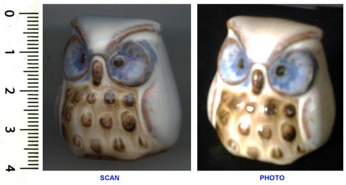 Collection chouette hibou - chouette/hibou,