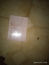 VLAMINCK. SERNADA. D'un lit