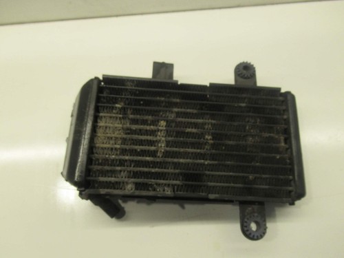 Radiateur huile ducati - d'huile, (ducati