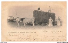 AXIP7-0492-64 - Types basque -