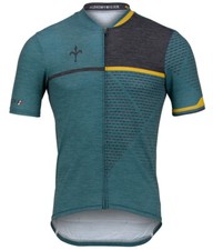 Maillot WILIER Brave Gravel Vert