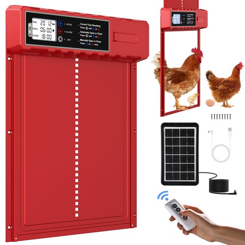 Porte automatique poulailler - automatique,