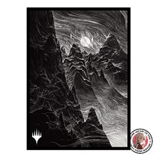 NOUVELLE pochette de carte