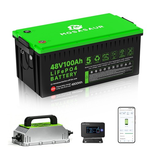 48v 100ah lifepo4 - 48v,
