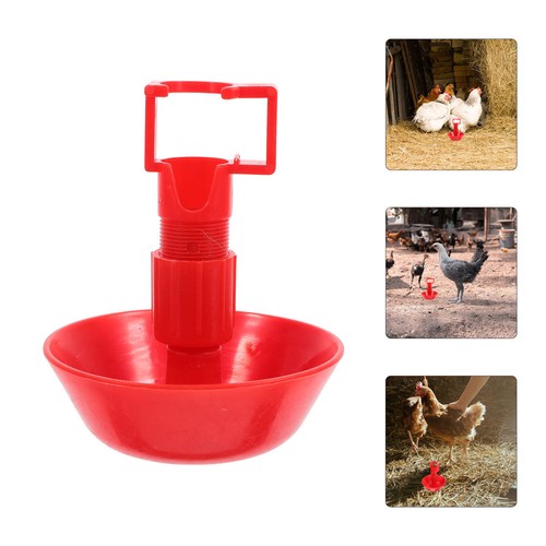 Pcs abreuvoir poule - 10,