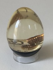 Œuf Résine Inclusion