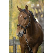 Licol + longe NORTON "Tressé" - Couleur : beige/chocolat/noir, Taille : cheval