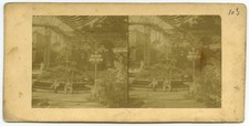 Stéréo 1860-70. Furne et