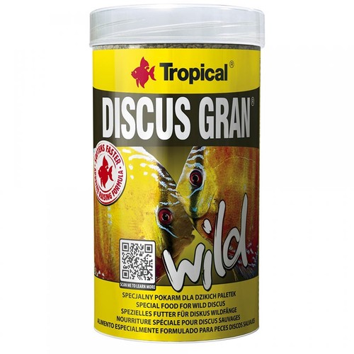 Tropical discus gran wild - tropical,